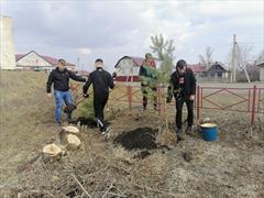 Волонтеры колледжа поучаствовали во Всекузбасском субботнике и акции "Сад памяти"