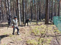 Профилактическая акция "Чистый лес - территория без огня"